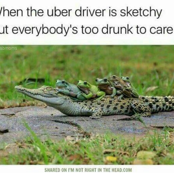 Meet your Posher, Glynis - Picture 2 of 2